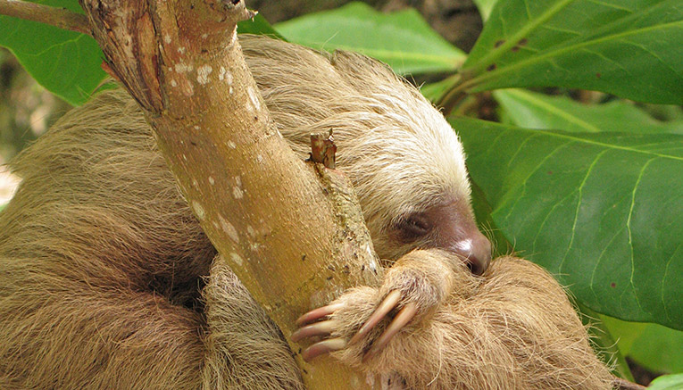 Bcrq-costa-rica-biking-11